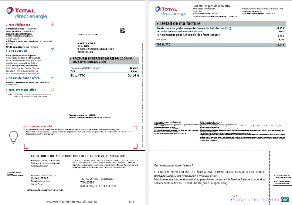 France Total Direct Energie business utility bill template in Word and PDF formats1